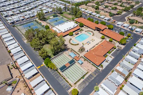 Arizona Citrus Grove in Mesa, Arizona